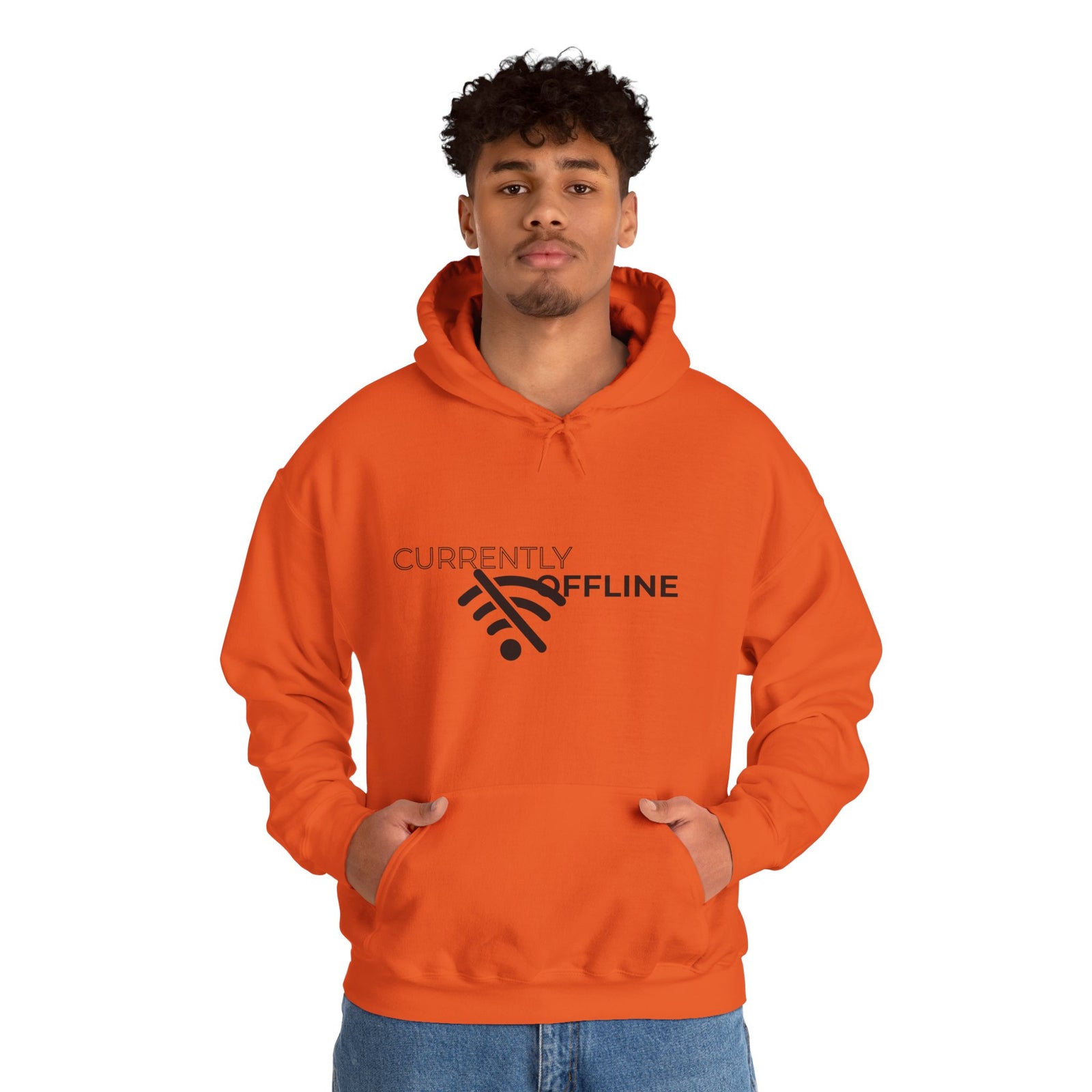 Currently Offline Unisex Heavy Blend Hoodie, Cozy Sweatshirt Gift, Casual Loungewear, Relaxed Fashion, Streetwear, Relaxation Apparel
